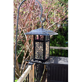 Modern Lantern Style Bird Feeder