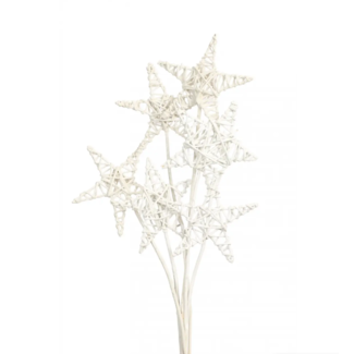White Glittered 6 Stem Lata Stars
