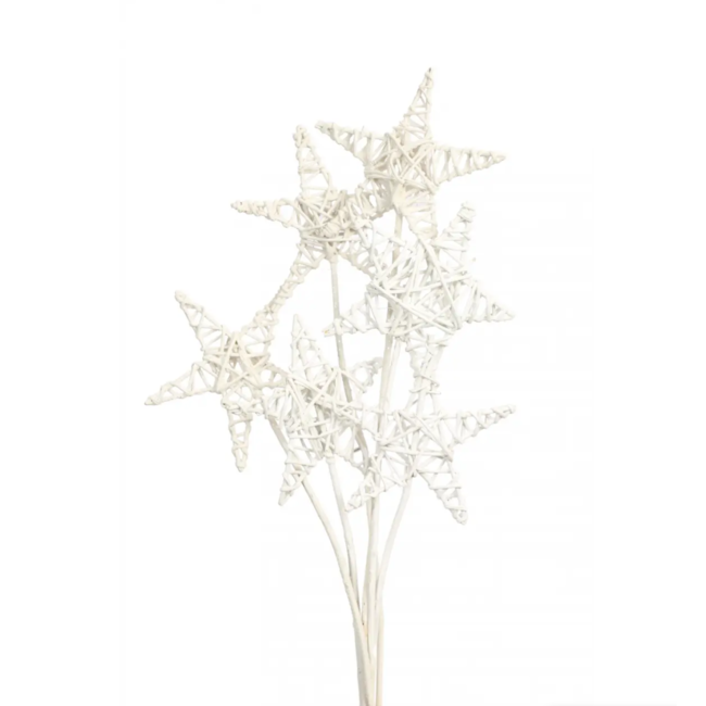 Lata Star (6pcs) White Glittered