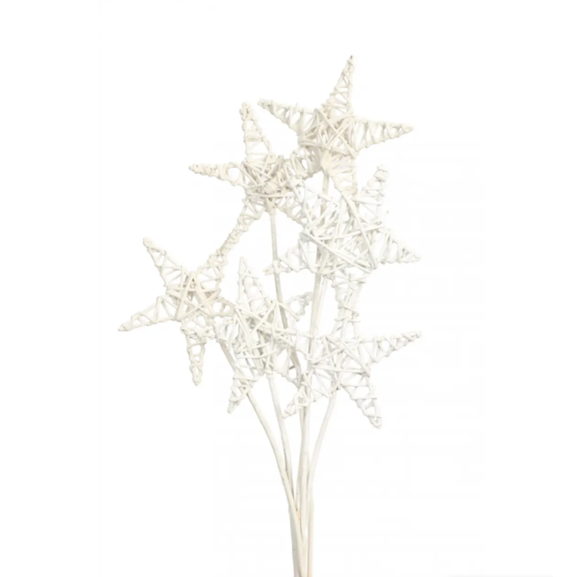 White Glittered 6 Stem Lata Stars
