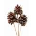 Jeffrey Pinecones XLg  (3 stem) White Tipped