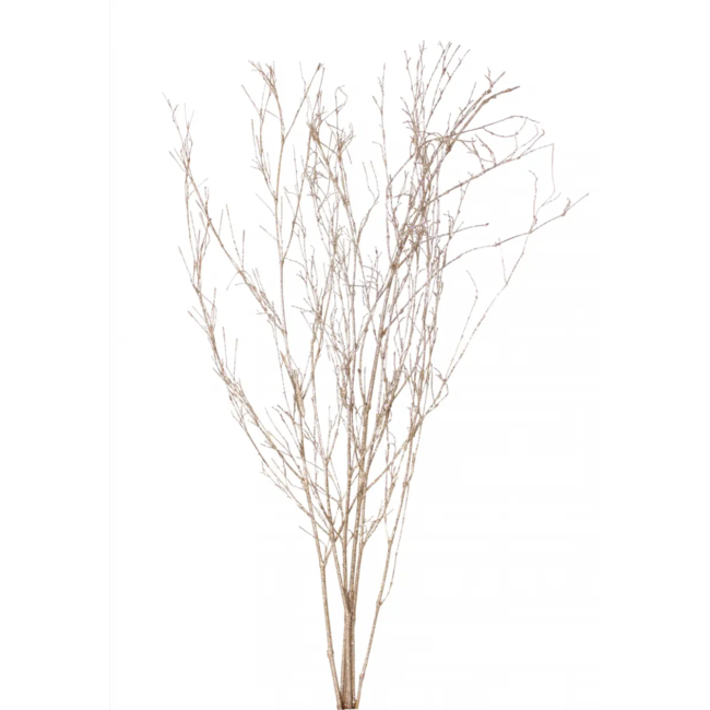 Bamboo Branches (5 stem) Champagne Glitter