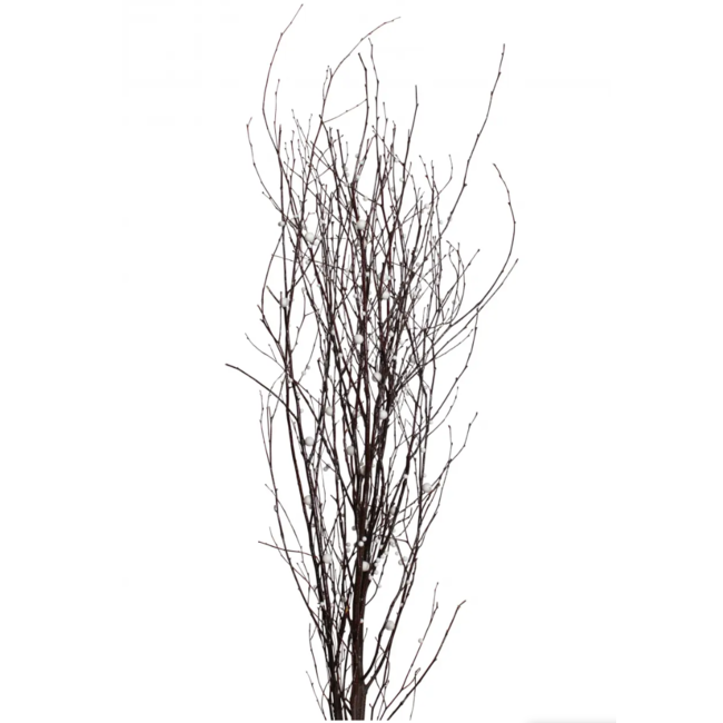 Berried Branches Natural w/ White Berries