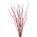 Willow Flame Natural 3-4'