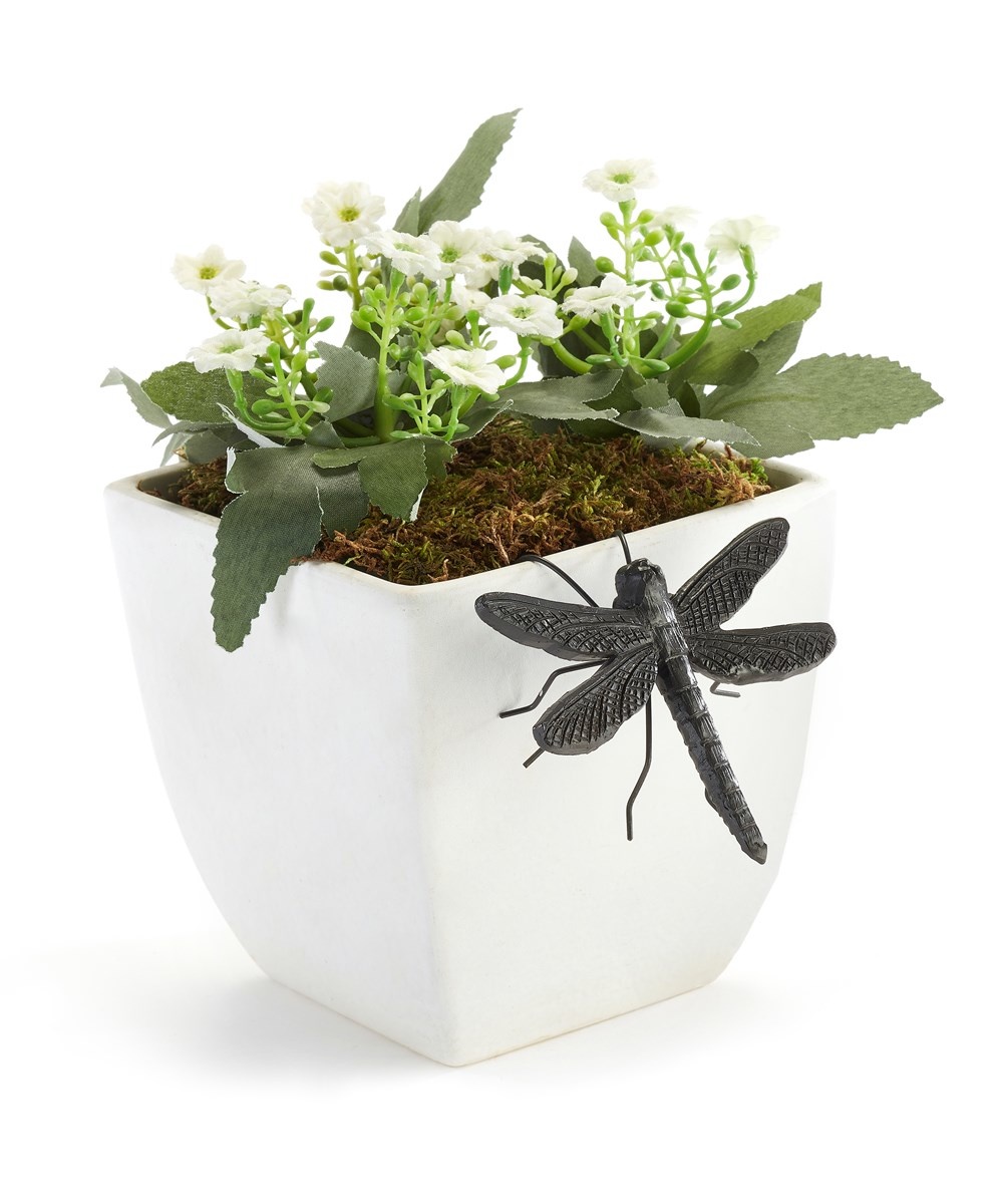 cup and saucer plant pot White Terracotta Pot with Water Saucer main image 1