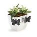 Butterfly Pot Hugger