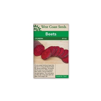 Beet - Cylindra