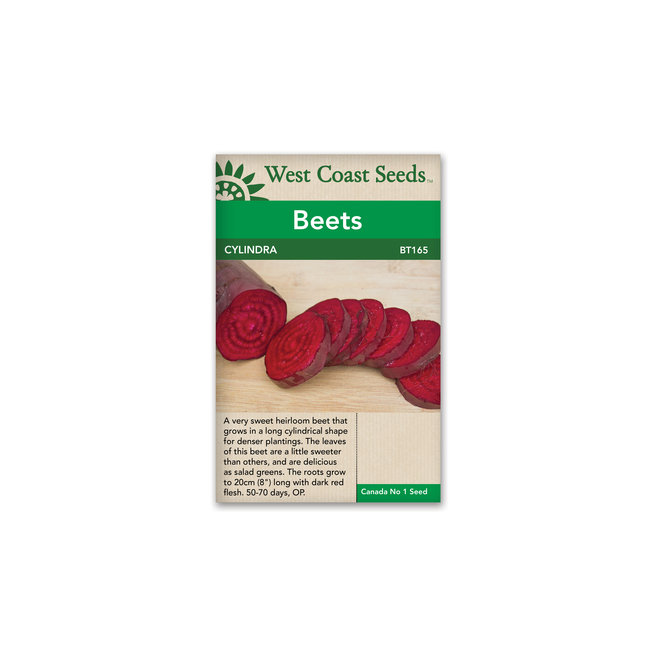 Beet - Cylindra