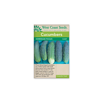 Cucumbers - Homemade Pickles