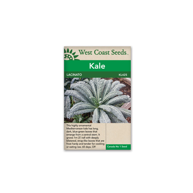 Kale - Lacinato