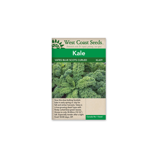 Kale - Vates Blue Scots Curled