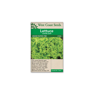 Lettuce - Grand Rapids TBR