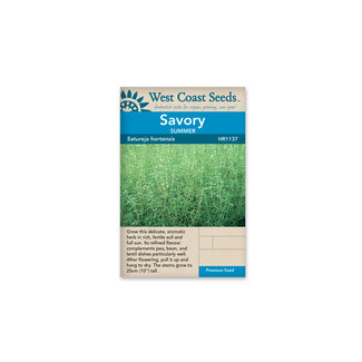 Savory - Summer Savory