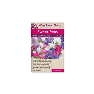 Sweet Peas - Early Multiflora Blend