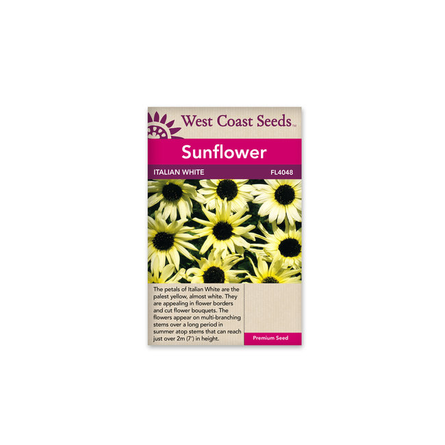 Sunflower - Italian White