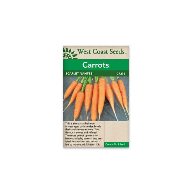 Carrots - Scarlet Nantes