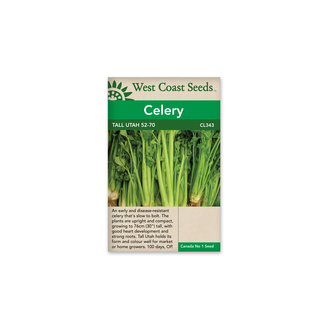 Celery - Tall Utah 52-70