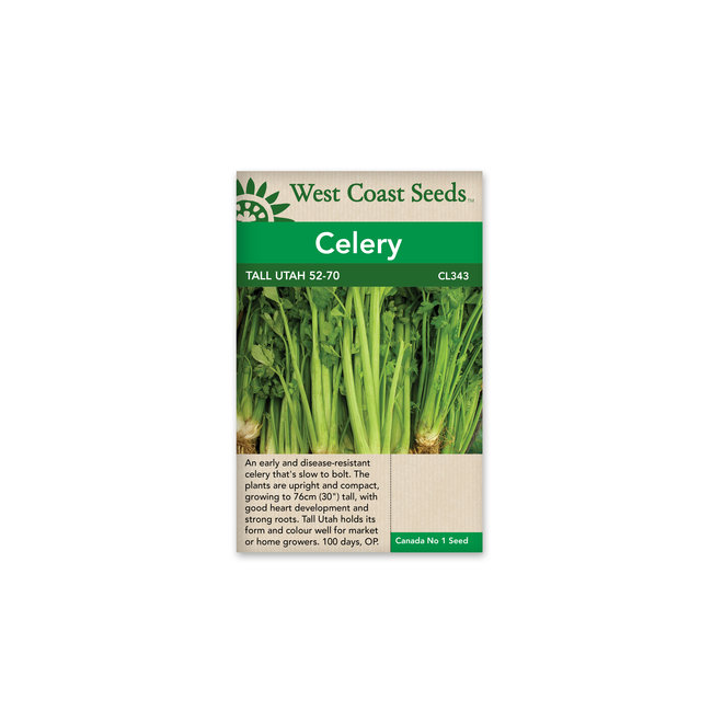 Celery -Tall Utah 52-70