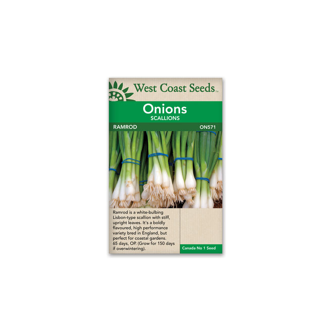 Onions - Ramrod