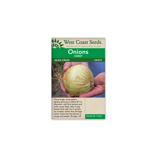 Onions - Ailsa Craig