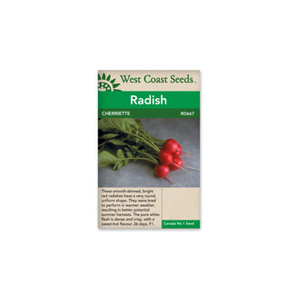 Radish - Cherriette