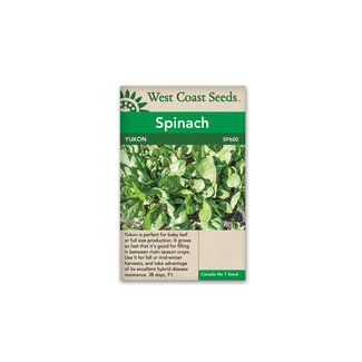 Spinach - Yukon F1