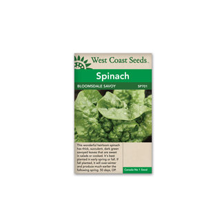 Spinach - Bloomsdale Savoy