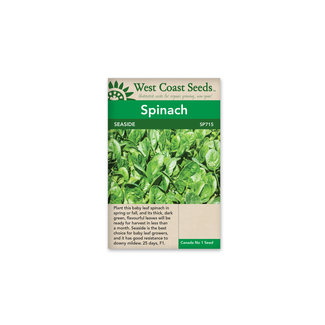 Spinach - Seaside F1