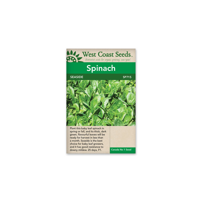 Spinach - Seaside F1