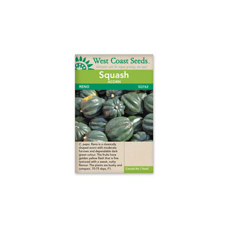 Squash - Reno F1