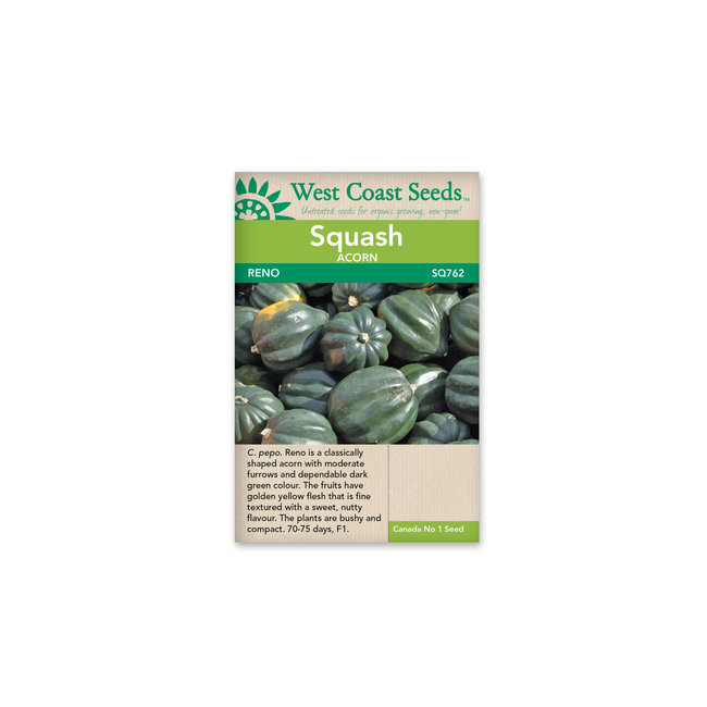 Squash - Reno F1