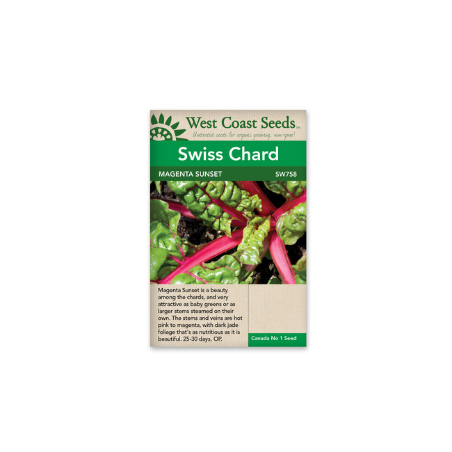 Swiss Chard - Magenta Sunset