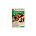 Swiss Chard - Magenta Sunset