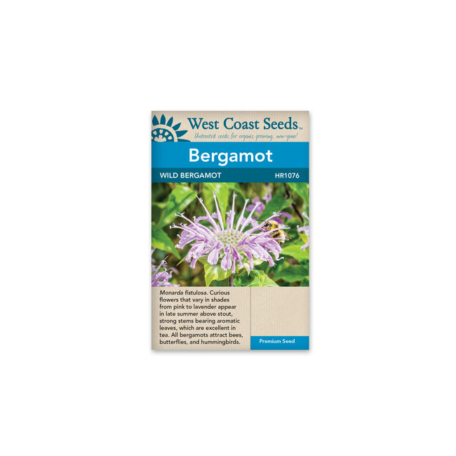 Bergamot - Wild Bergamot