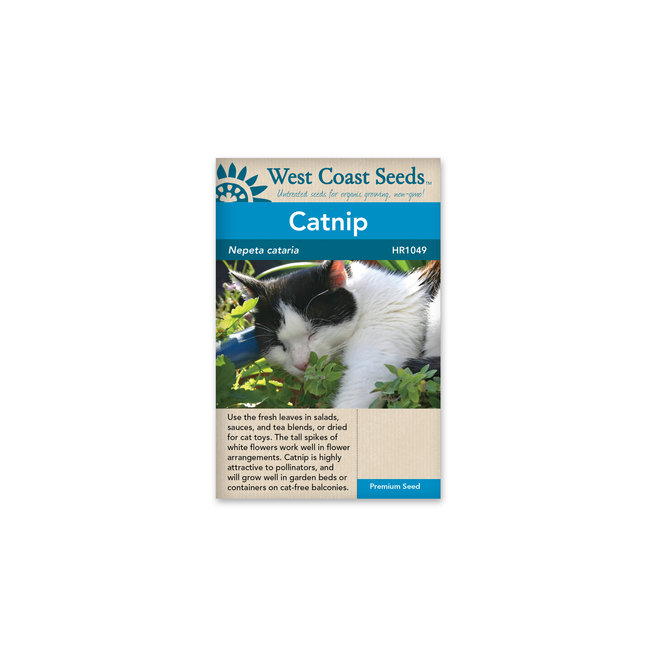 Catnip - Catnip