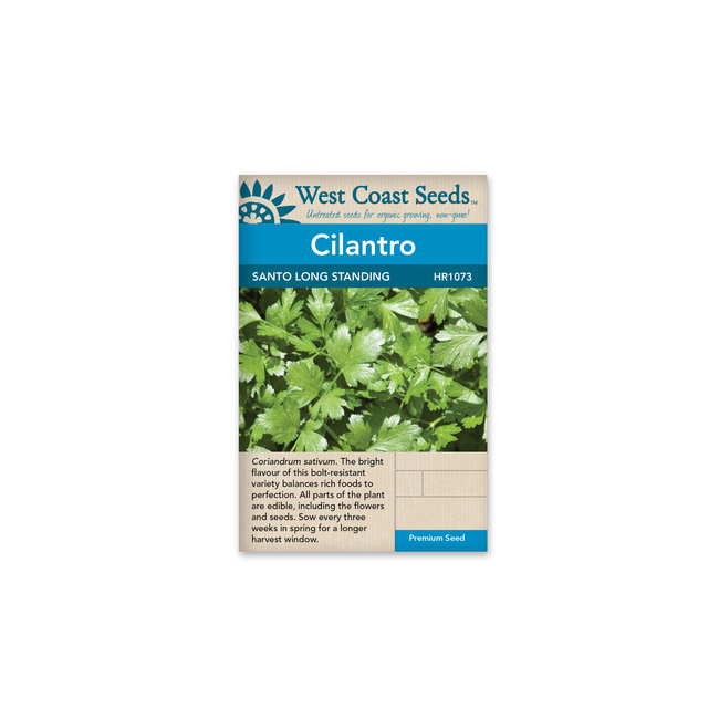 Cilantro - Santo Long Standing