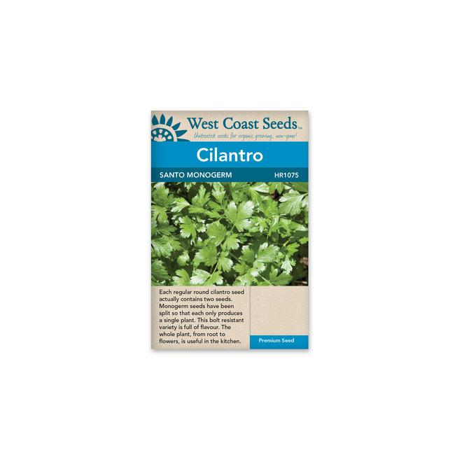 Cilantro - Santo Monogerm