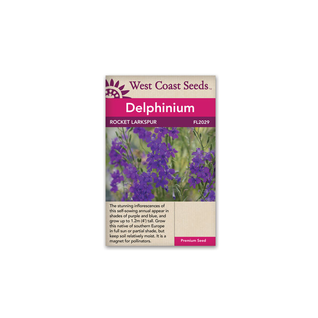 Delphinium - Rocket Larkspur