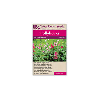 Hollyhocks - Indian Spring