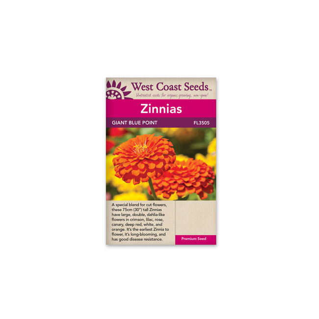Zinnias - Giant Blue Point Formula