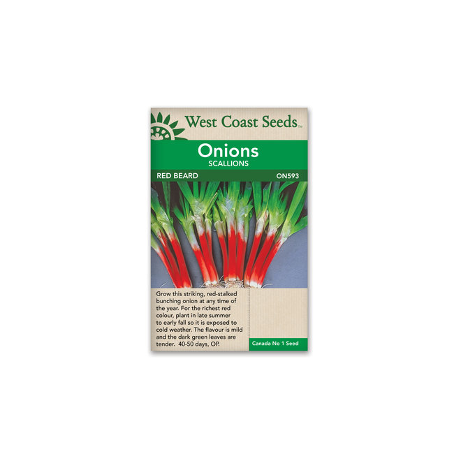 Onions - Red Beard