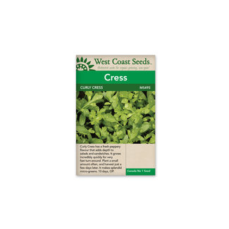 Cress - Curly Cress Peppergrass