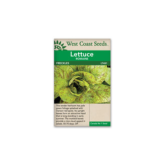 Lettuce - Freckles