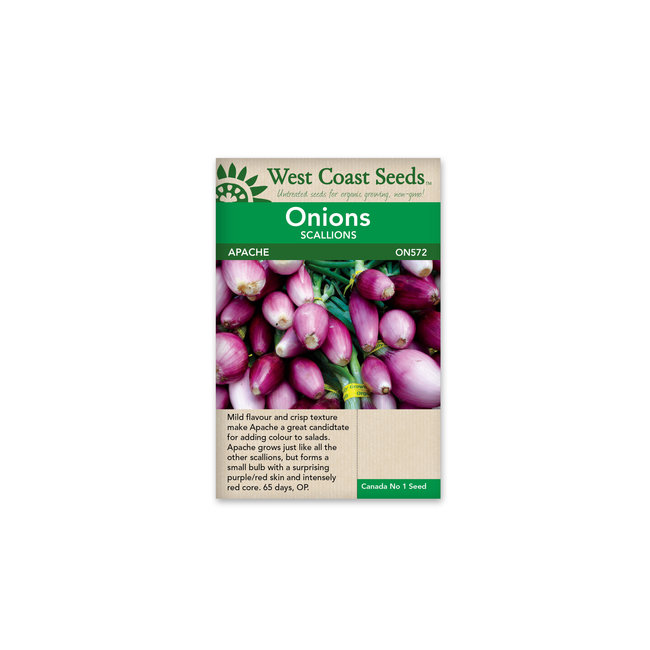 Onion - Apache