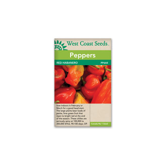 Peppers - Red Habanero