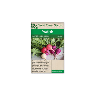 Radish - Easter Egg II