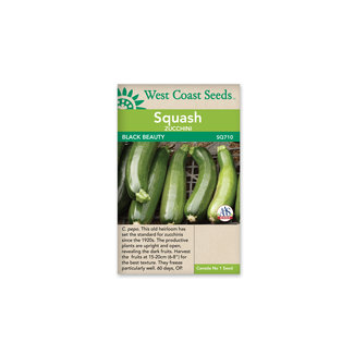 Summer Squash - Black Beauty