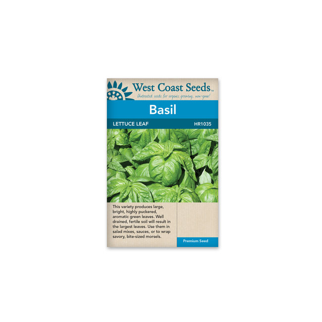 Basil - Lettuce Leaf