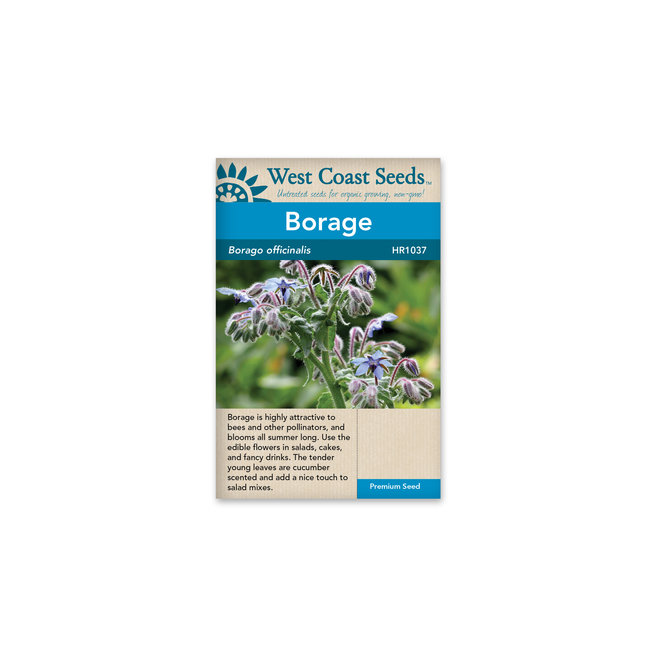 Borage - Borage