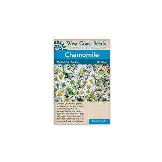 Chamomile - German Chamomile Certified Organic